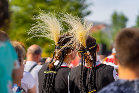 Close-up of braided hair with decorative ethnic headpieces during a cultural festival
