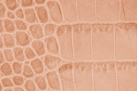 Close-up of pink brown crocodile leather with texture and patterns, natural backgroundの写真素材