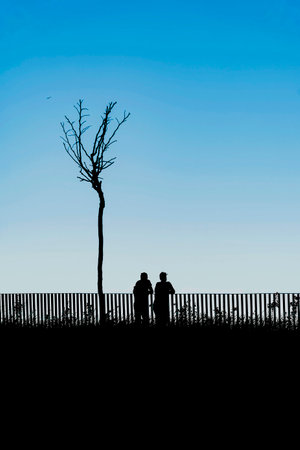 Silhouettes of couple lean against fence under lone tree. Serenity, contemplation, and connection concept.の写真素材