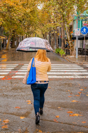 Woman in beige jacket walking across wet crosswalk with transparent umbrella. Autumn rain and golden leaves create nostalgic urban moodの写真素材