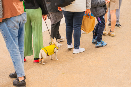 People waiting in line on a street, some holding shopping bags and small dog on a leash. Concept of patience, everyday life, urban lifeの写真素材