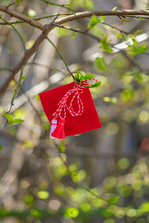 Red Martenitsa decoration on tree branch in early spring. Bulgarian tradition of welcoming new season, spring and renewal. Cultural tradition for good health and prosperityの写真素材