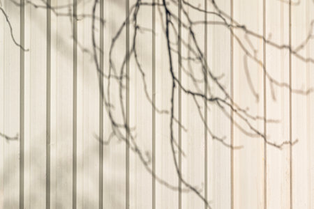 Delicate tree branch shadows cast across light vertical metal wall panels. Branch shadows create calm background of nature and geometryの写真素材