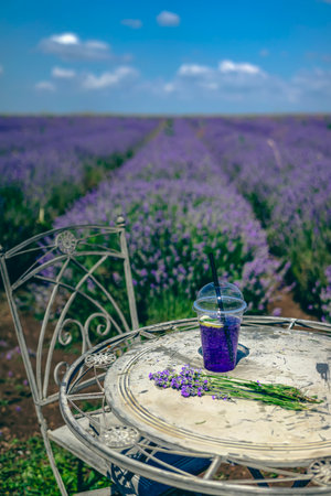 Lavender soda with lemon and bouquet on rustic iron table amid blooming field. Concept of lavender refreshment as floral drink, countryside break, aesthetic slow living. Lavender Festival, Bulgariaの写真素材