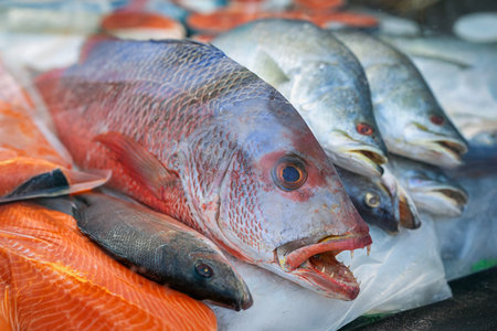 Fish on counter. Fresh whole fish and salmon fillets on ice at seafood market showing texture,...