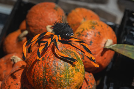 Black and orange toy spider sits on top of bright pumpkins, creating a festive and spooky scene. Concept of Halloween decoration, autumn mood, and pumpkin celebration with spider themeの写真素材