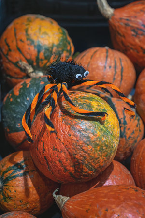 Toy spider with orange and black legs sits on a pile of colorful pumpkins, creating a playful Halloween mood. Concept of Halloween, pumpkin, spider decoration, spooky celebrationの写真素材