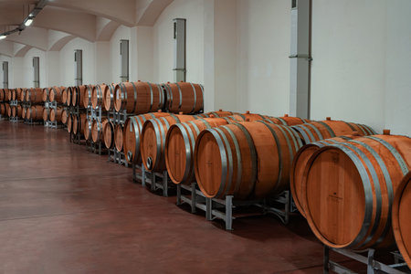 VENETS, BULGARIA - OCTOBER 08, 2024: Wine Barrel Corridor Perspective. Stacked oak wine barrels,...