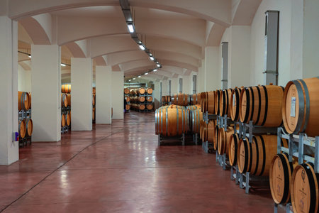 VENETS, BULGARIA - OCTOBER 08, 2024: Wide wine Cellar View. Spacious wine cellar interior with large...