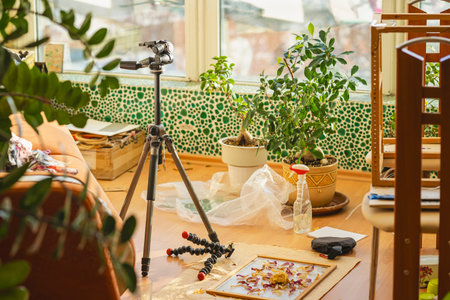 Sunlit home studio with tripod, indoor plants, creative still life setup on wooden floor near...
