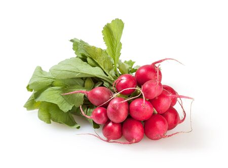 Bunch of radish isolated on white backgroundの写真素材