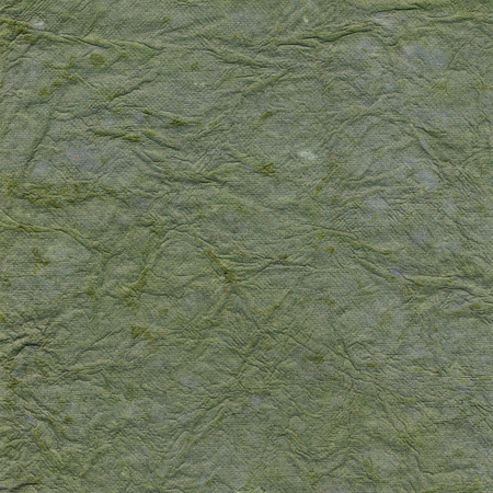 Green paper background with patternの写真素材