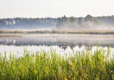 Mist on a lake at dawnの写真素材