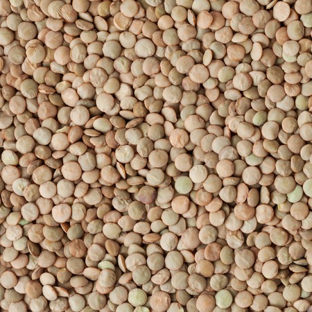 Uncooked lentil backgroundの写真素材