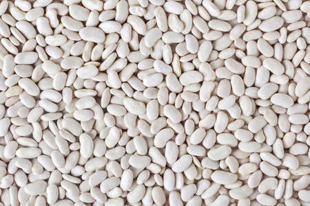 Uncooked white beans backgroundの写真素材