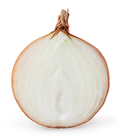 Onion bulb isolated on white backgroundの写真素材