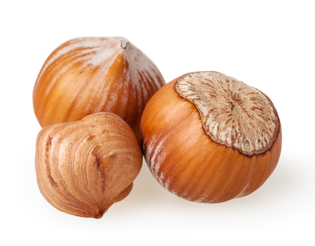 Hazelnuts isolated on white backgroundの写真素材