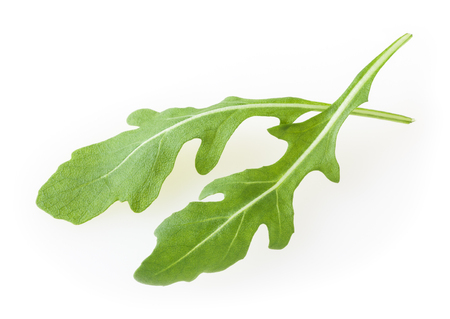Fresh arugula leaves isolated on white backgroundの写真素材