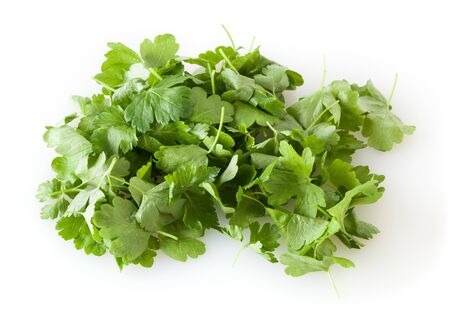 Fresh parsley leaves isolated on white background