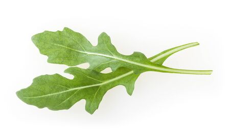 Fresh rucola leaves isolated on white backgroundの写真素材