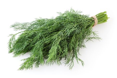 Bunch of fresh dill isolated on white backgroundの写真素材