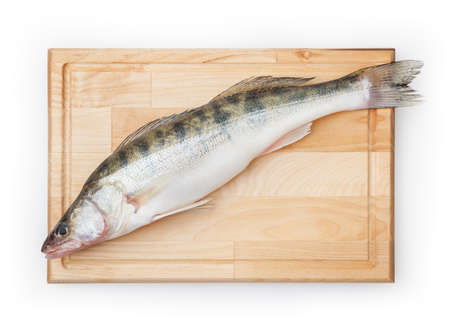 Fresh uncooked pike perch on wooden board isolated on white background with clipping pathの写真素材