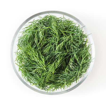 Fresh dill in glass bowl isolated  white backgroundの写真素材