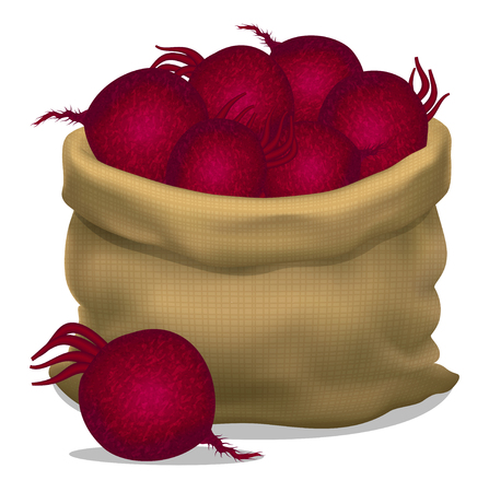 Illustration of a sack of beets on a white background. Vector iconのイラスト素材