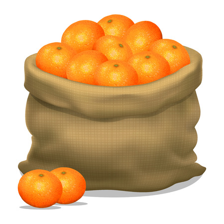 Illustration of a sack of mandarins on a white background. Vector iconのイラスト素材
