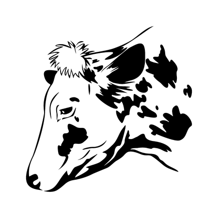 Stylized cow head, cow portrait.のイラスト素材