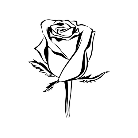 Vector rose bud outline silhouette. Logo, tattoo or emblem of rose. Flower element. Hand drawn illustration rose isolated on white backgroundのイラスト素材