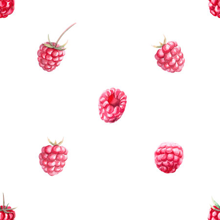 Pattern of red raspberries in watercolor illustration on a white background. Hand drawn raspberry...
