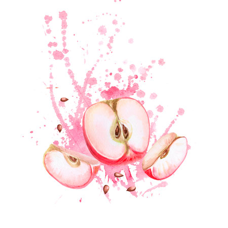 Ripe apple slices on bright splashes background. Isolated watercolor illustration for farm fruit design, agricultural fairs, organic product packaging. Harvesting in orchard.の写真素材