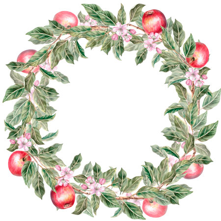 Round wreath of variegated leaves and ripe apples. Isolated watercolor illustration for farm fruit design, agricultural fairs, organic product packaging. Harvesting in an orchard.の写真素材
