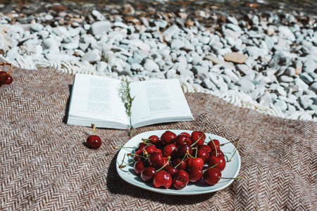 Book on plaid, fresh cherries plate. Summer romantic rustic picnic on the beach, Vacation and restの写真素材
