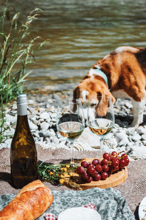 Rustic picnic on the coast with two wine glasses, bottle, baguette and cheese. Rest with dog.の写真素材