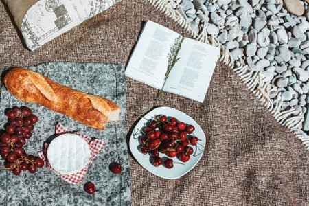 Summer romantic rustic picnic on the plaid. French style. Baguette, cheese, open book from aboveの写真素材
