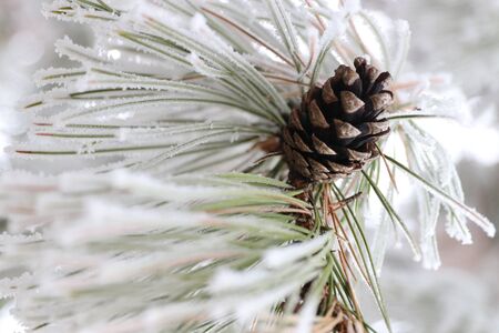 Wonderful ice magic, winter photosの写真素材