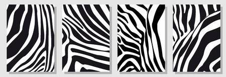 New minimalism design. Expressive stripped animal print. Black, white.のイラスト素材