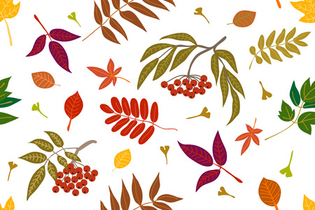 Falling autumn leaves. Seamless panoramic vector pattern with botanical motifs.のイラスト素材