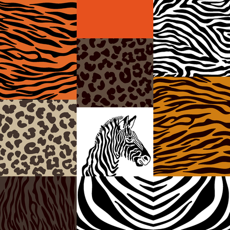 Zebra skin, leopard spots, tiger stripes. Ethnic design collection.のイラスト素材