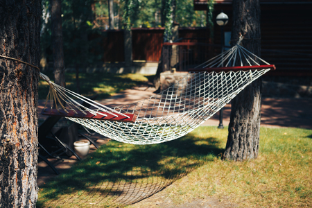 Hammock in forest. Hammock stretched between two trees in the forest.の写真素材