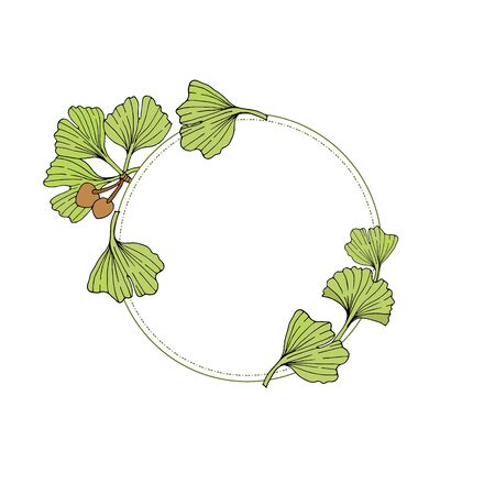 Round frame with leaves ginkgo biloba. Vector illustrationのイラスト素材