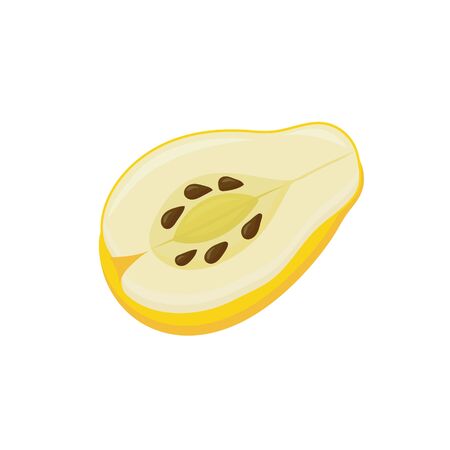 Half of the fruit is quince, isolated on white background.のイラスト素材