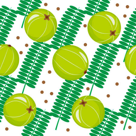 Seamless pattern with amla, indian gooseberry on white background. Cosmetics and medical plant.のイラスト素材