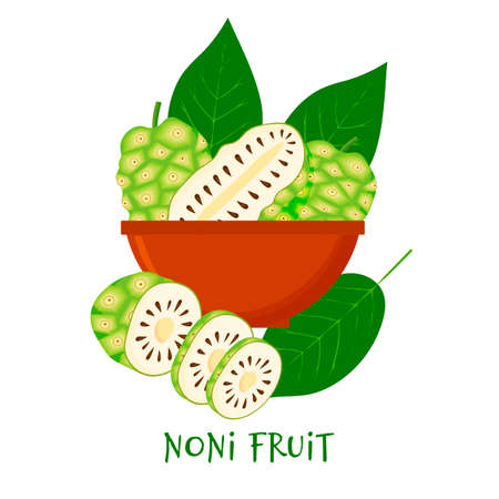 Morinda citrifolia, noni fruit, superfood isolated on white background in bowl. Organic healthy food. Vector cartoon illustration.のイラスト素材