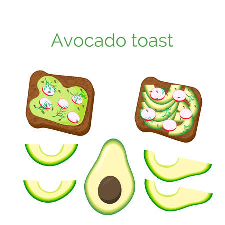 Set avocado toast. Sandwich with bread, avocado, radish, dill and sesame seeds, isolated on white background. Organic healthy food. Vector cartoon illustration.のイラスト素材