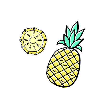 Pineapple hand drawing in doodle style isolated on white background.のイラスト素材