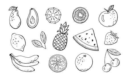 Fruits and berries set hand drawing isolated on white background. Vector stock illustration.のイラスト素材