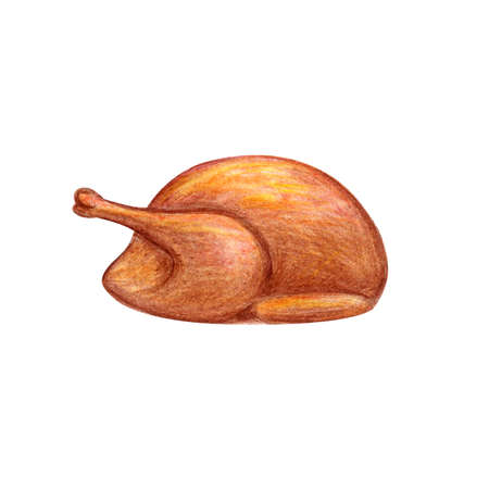 Baked turkey on a white background hand drawing. Fried Chicken. Thanksgiving Design.の写真素材